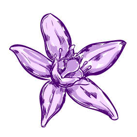 Passionsblume